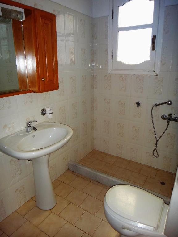Lefkothea Apartments Frínion Habitación foto
